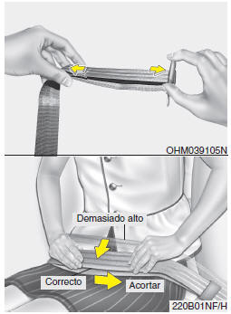 Cinturón abdominal (opcional)