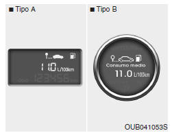 Consumo medio de combustible (l/100 km o millas por hora) (opcional)