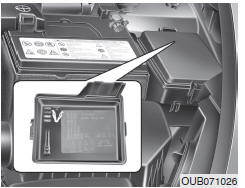 Panel de fusibles del compartimento del motor