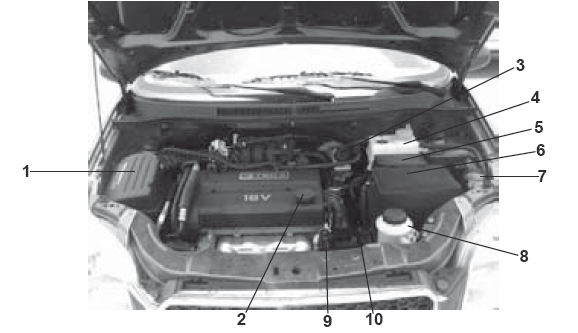 Compartimiento del motor