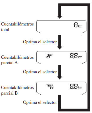 Grupo de instrumentos (Tipo medidor de velocidad analógica (Tipo C))