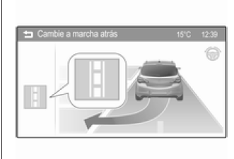 Vehículos con indicación en la pantalla de información en color