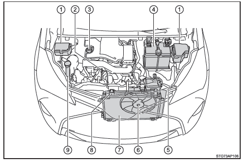viernes orgánico reinado Toyota Yaris: Compartimento del motor - Tareas de mantenimiento que puede  hacer usted mismo - Mantenimiento y cuidados - Toyota Yaris Manual del  Propietario